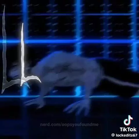 Video by oopsyoufoundme