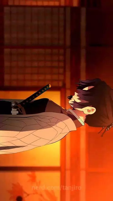 you will like it by tanjiro