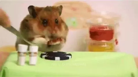 PETS ARE GARBAGE (kinda) by streety