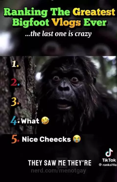 Wait for last one👀 by menotgay