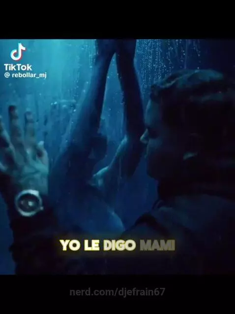 Vamos a bailotear Remix FLOYYMENOR ❌CRIS MJ by djefrain67