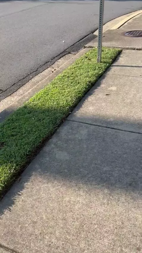 Video by vinnyhasaura