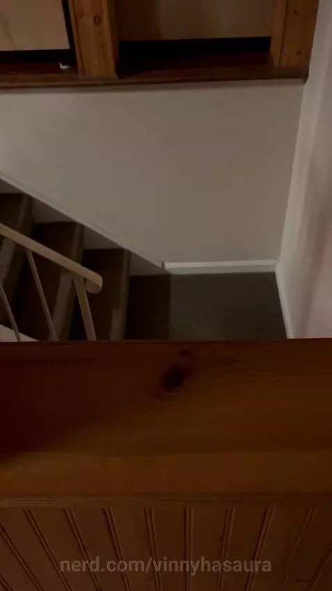 Video by vinnyhasaura