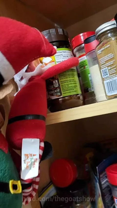 S1 E5 by thegoatshow