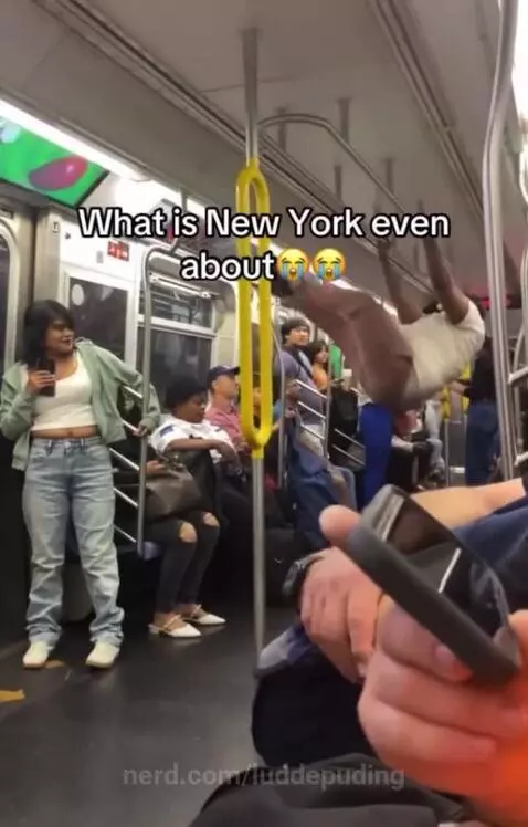 What is happening to new york by luddepuding