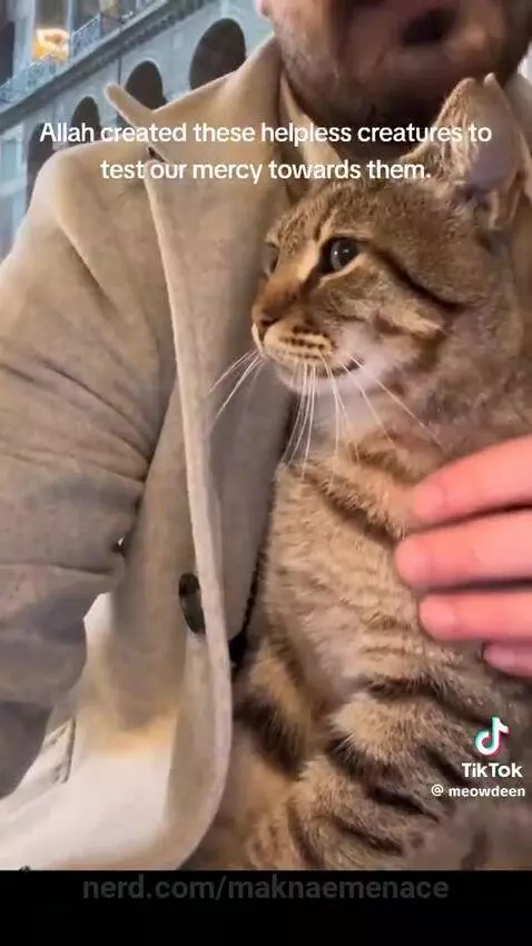 Mashallah🥹🌺 by maknaemenace