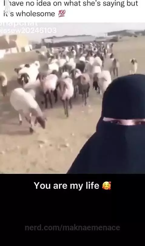 translation is below🎀 by maknaemenace