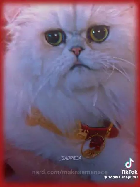 Gabrielaholic😩🤌 by maknaemenace