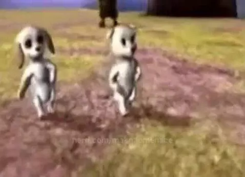 dancing dogss🤪 by maknaemenace