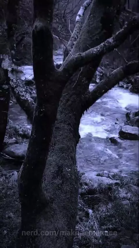 I love this song😭 (Song Name: Love Story by Indila) by maknaemenace