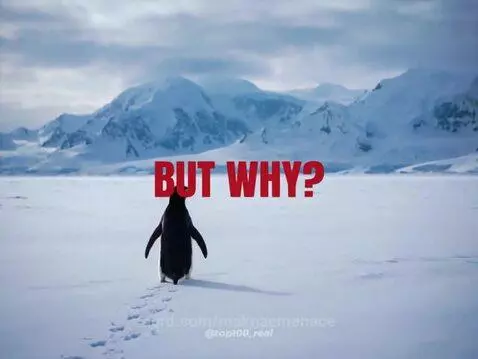 but why..? by maknaemenace