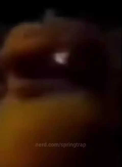 the animatronics get a little quirky by springtrap