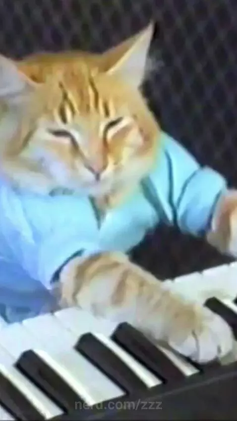 2016 nostalgia  prime youtube by zzz