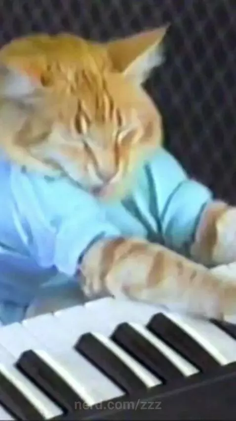 this cat made up our childhood 2016 nostalgia by zzz