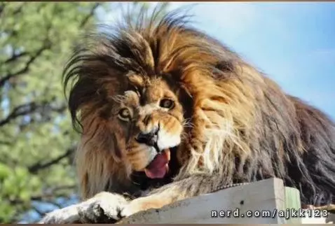 me in math class by ajkk123