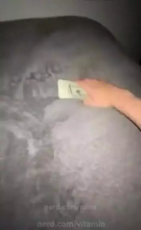 BRO if being short was a job I would be hella rich tho lol by mimi