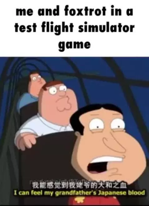 Kamikaze by gfg37vfb4873hbfn4