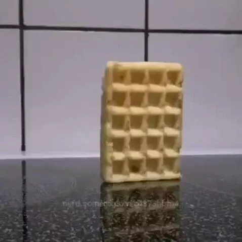 wtf by gfg37vfb4873hbfn4