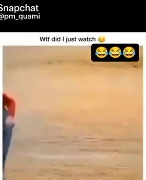 big... fish? by gfg37vfb4873hbfn4