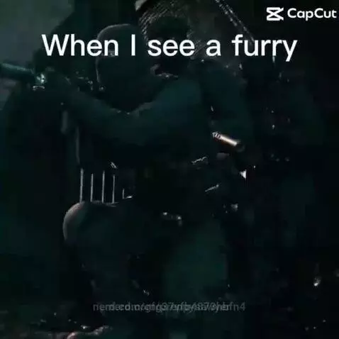 furry by gfg37vfb4873hbfn4