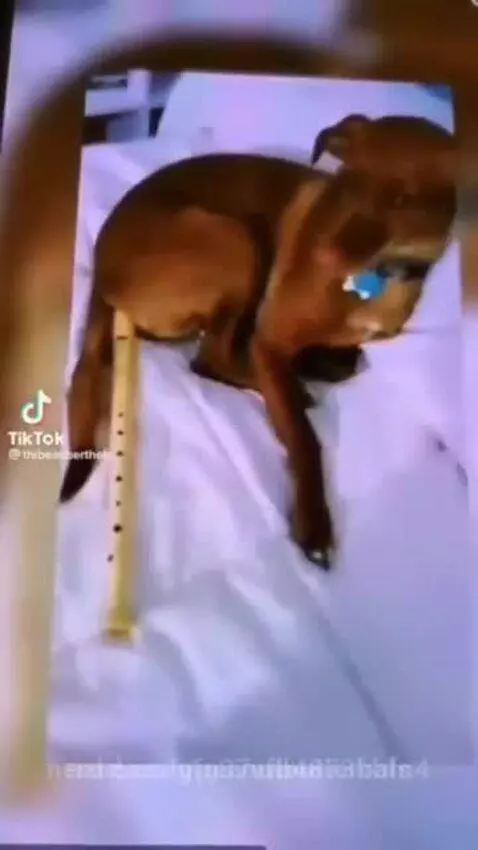 funnny by gfg37vfb4873hbfn4