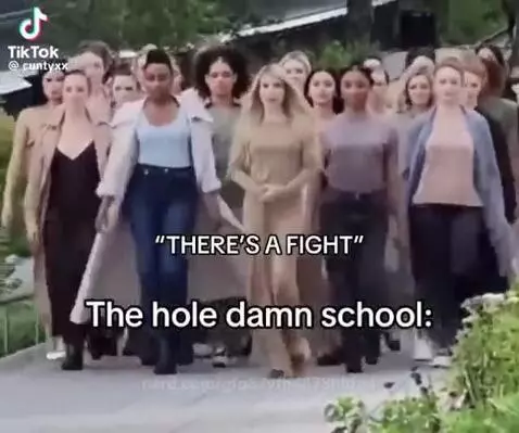 fr by gfg37vfb4873hbfn4