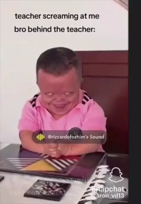 true by gfg37vfb4873hbfn4