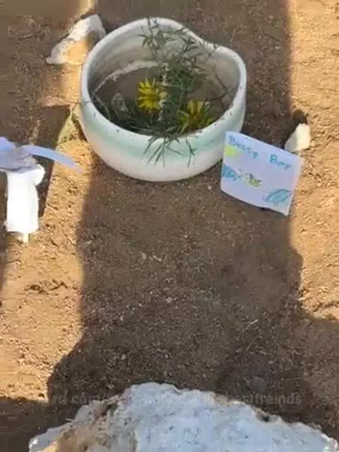 We found a dead bee so we made it a funeral ❤️🐝 by twotimeandazurebestfreinds