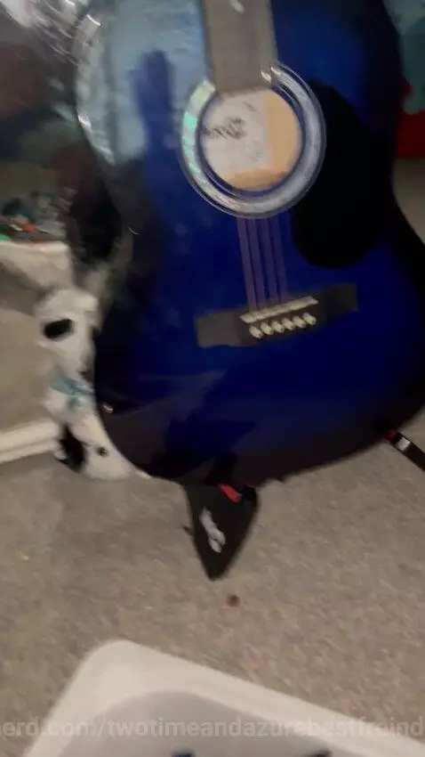 Who should choose my profile picture, my brother my sister s... by twotimeandazurebestfreinds