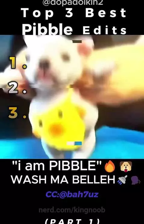 I am PiBBLe by kingnoob