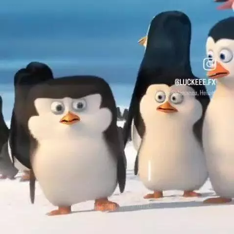 is this not my vid by kingnoob