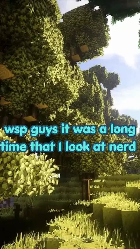 fun server in eaglercraft and Minecraft java by kingnoob