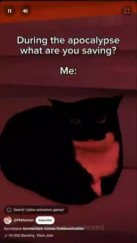 me with #kingNoob# in followers by exerexed