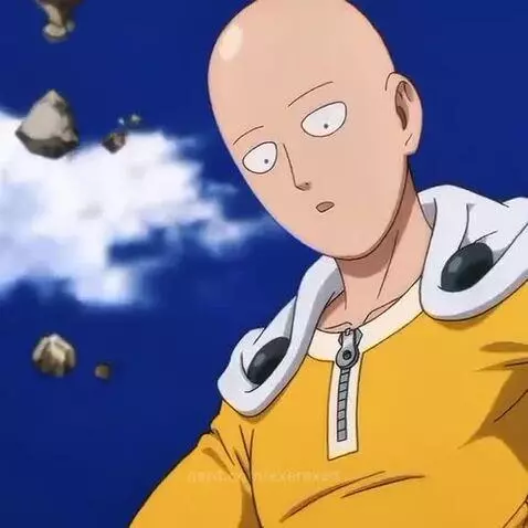 the sayan by exerexed