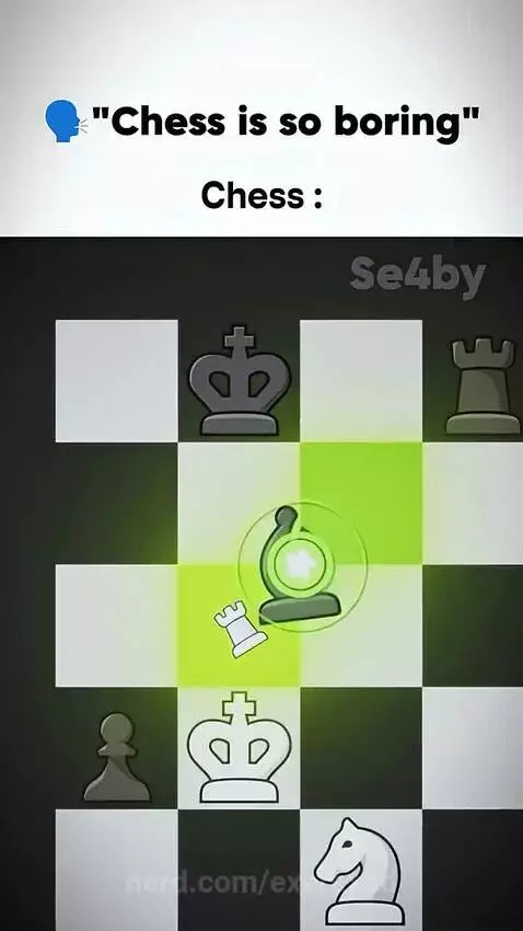 Absolutely cinema 
🗣️💯 by exerexed