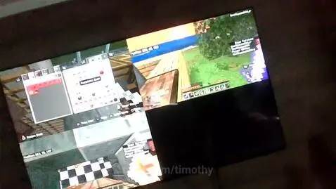 SHEEP JOCKEY by timothy