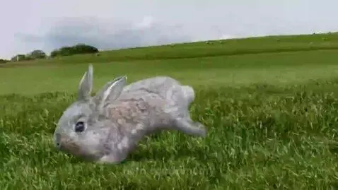 "7 billion" by cyriak. by timothy