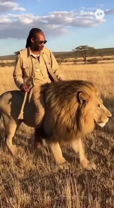 lion guy by catmannerd