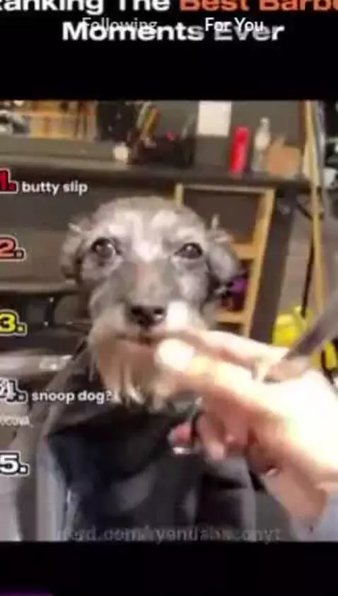 ranking best baber moments by ryandabaconyt