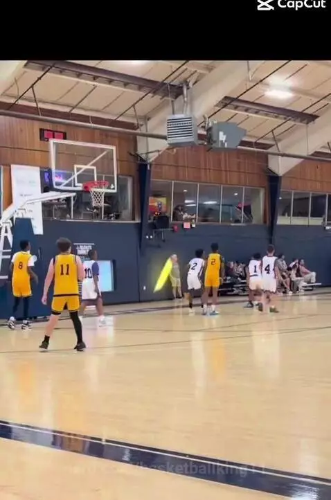 2055 by basketballking11