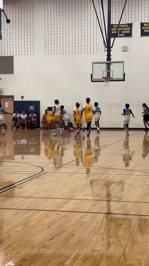 Off the dribble by basketballking11