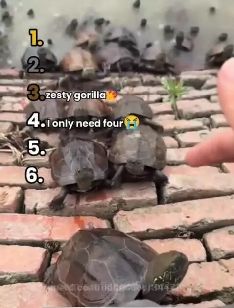 My brothers by editeddoor34472