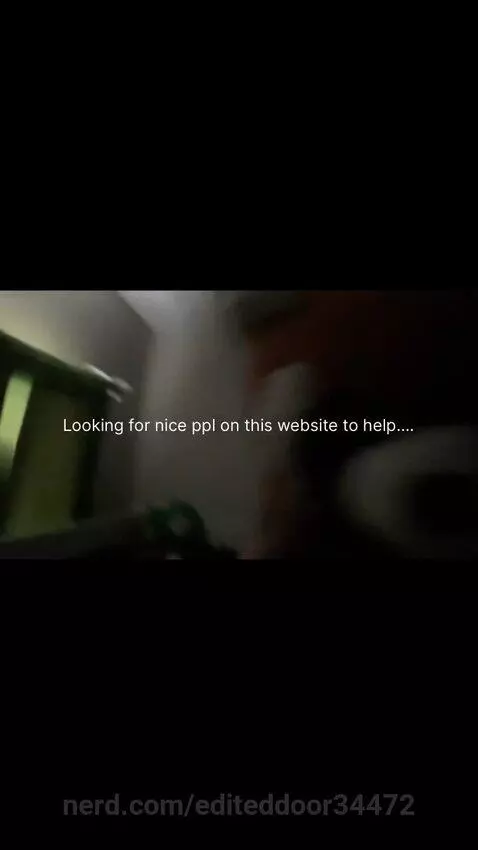 If it’s heaven or dawnpaws furry Christian please don’t scro... by editeddoor34472