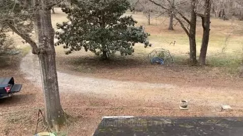 Video by editeddoor34472