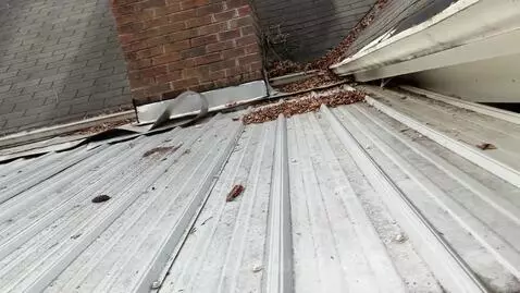 Video by editeddoor34472