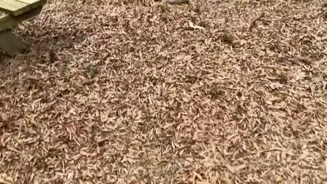 Video by editeddoor34472