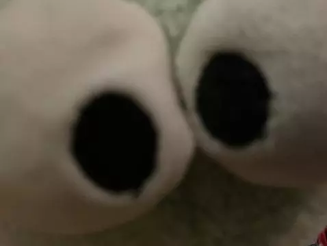 Video by editeddoor34472