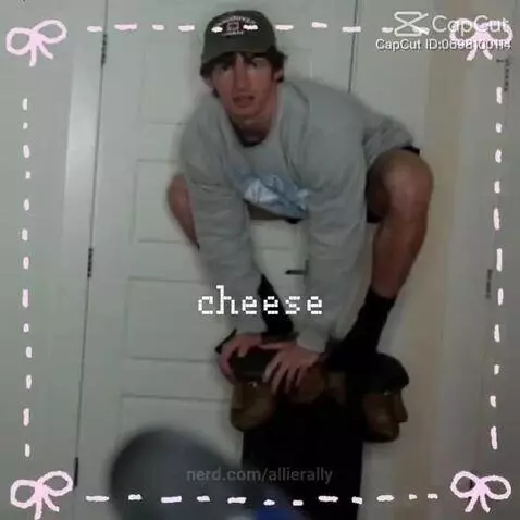 Flamingo by allierally