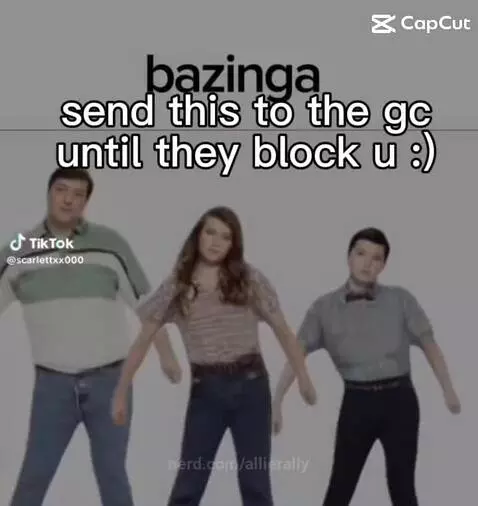 Bazinga by allierally