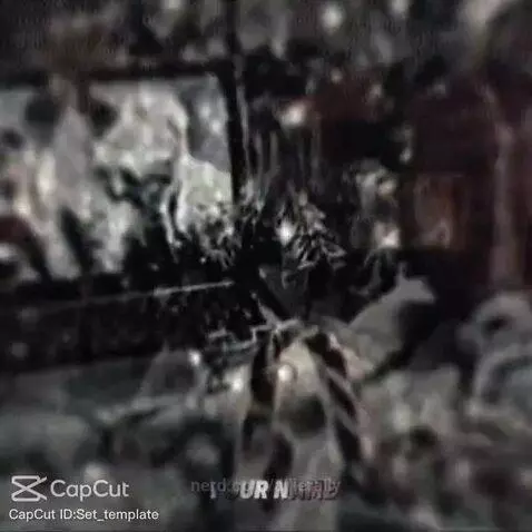 IT’S TIIIMMEEEE by allierally